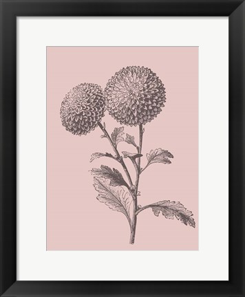 Framed Quilled Pompone Blush Pink Flower Print