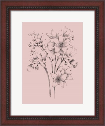 Framed Blush Pink Flower Drawing Print