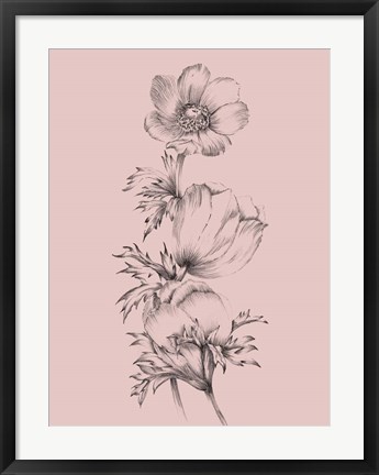 Framed Blush Pink Flower II Print