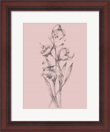 Framed Pretty Pink Flower II Print