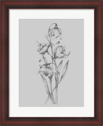 Framed Pretty Flower II Print