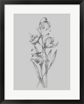 Framed Pretty Flower II Print