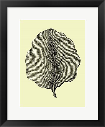 Framed Leaf II Print