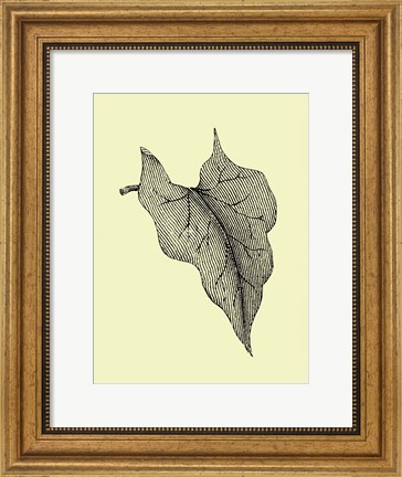 Framed Leaf III Print