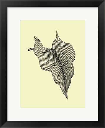 Framed Leaf III Print