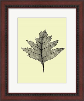 Framed Floating Leaf I Print