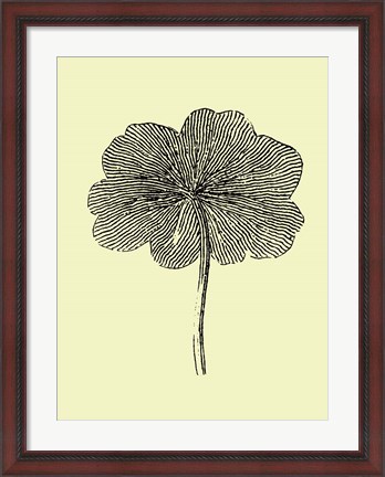 Framed Floating Leaf II Print