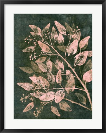 Framed Eucalyptus 1 Moss Blush Print