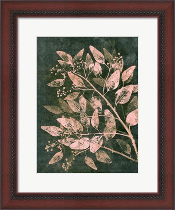 Framed Eucalyptus 1 Moss Blush Print