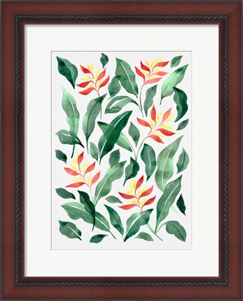 Framed Parakeet Flower Print