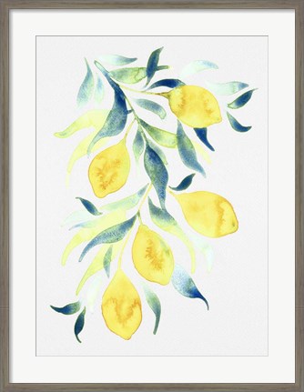 Framed Watercolor Lemons Print