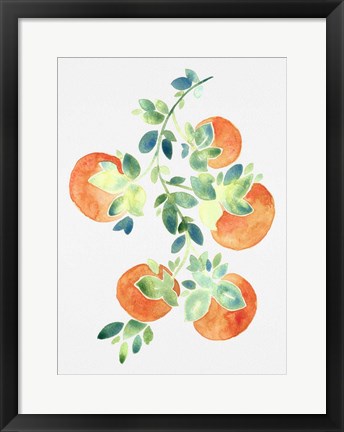 Framed Watercolor Oranges Print
