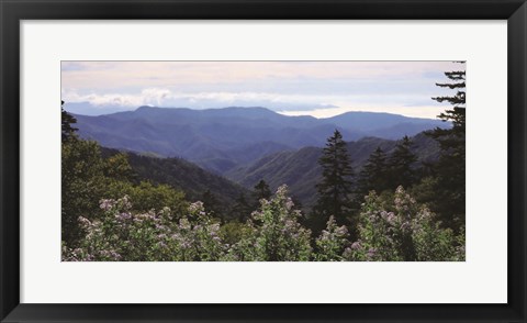 Framed Scenic Mountain View Print