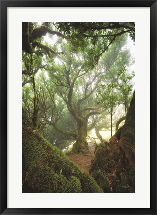 Framed Tree Love Print
