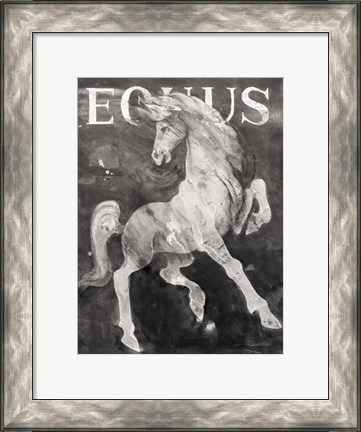 Framed Equus Stallion BW Print