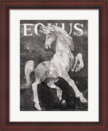 Framed Equus Stallion BW Print
