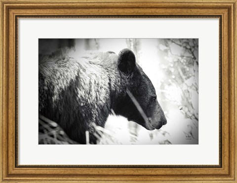 Framed Bear Emerging Print