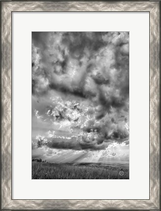 Framed Rolling Pasture Rays Print