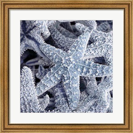 Framed Starfish Beach 2 V3 Print