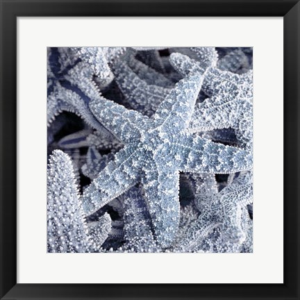 Framed Starfish Beach 2 V3 Print