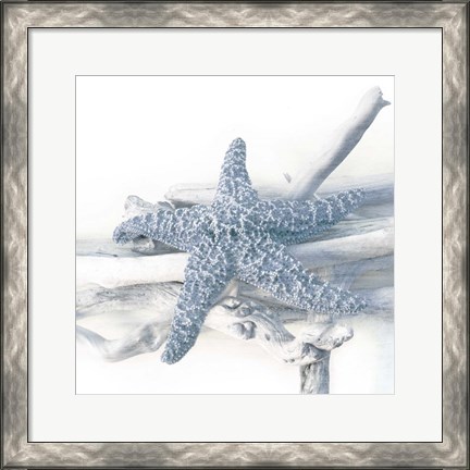 Framed Starfish Beach 5 V3 Print