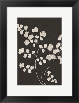 Framed Vintage Ferns III Print