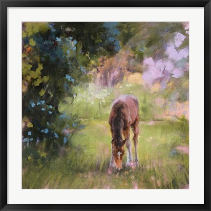 Framed Spring Time Foal II Print