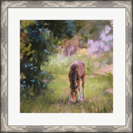 Framed Spring Time Foal II Print