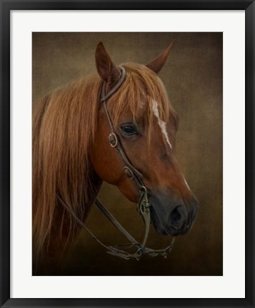 Framed Ready to Compete Print