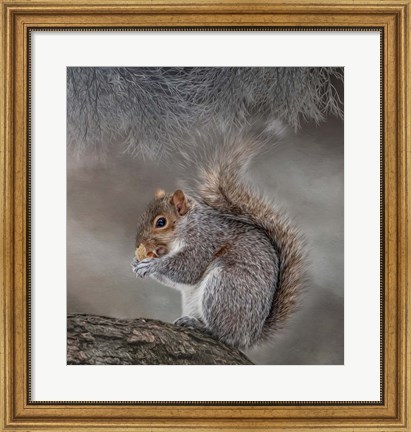 Framed Bright Eyed and Bushy Tailed Print