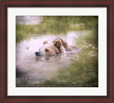 Framed Bearly Swimming Print