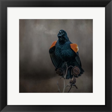 Framed Bird Breath Print