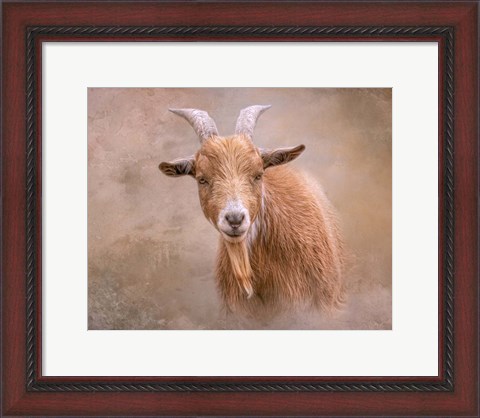 Framed Goat Goodness Print