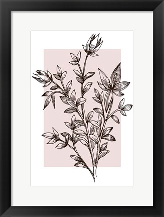 Framed Botanical Branch Print