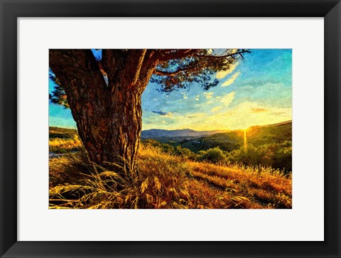 Framed Gnarled Tree at Sunset Print