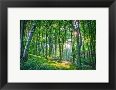 Framed Emerald Forest Print