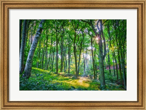 Framed Emerald Forest Print