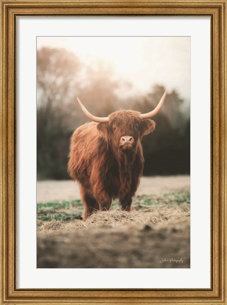 Framed Portrait of a Cow Print