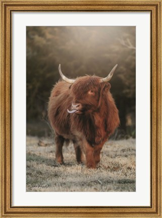 Framed Silly Cow II Print