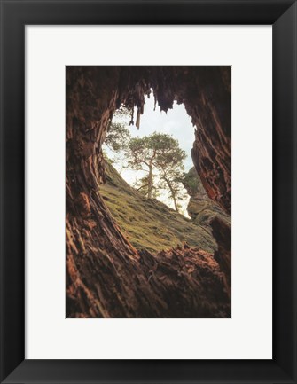 Framed View Through a Tree Print
