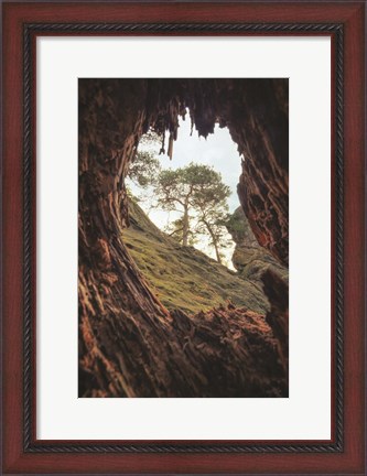 Framed View Through a Tree Print