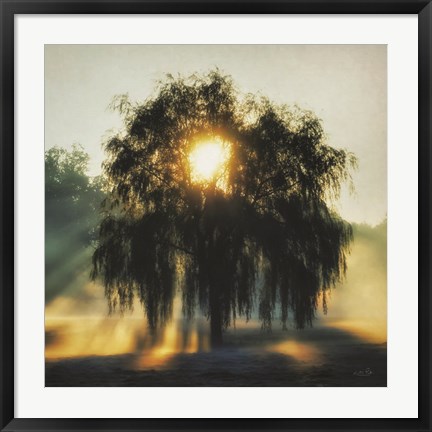 Framed Morning Magnificence Print