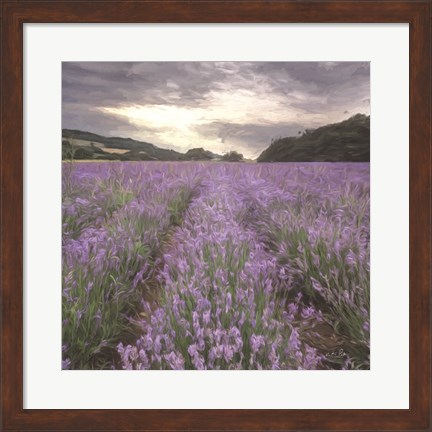 Framed Field of Lavender Print