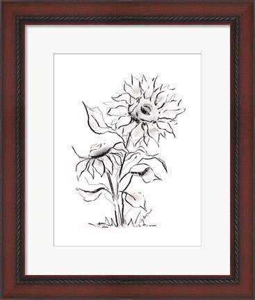 Framed Sunflower Charcoal Sketch Print
