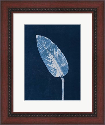 Framed Calathea Blue Print
