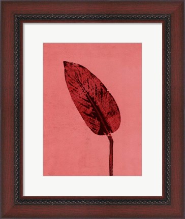 Framed Calathea Red Print
