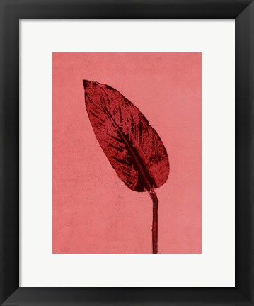 Framed Calathea Red Print