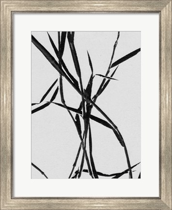Framed Grass Detail White Print