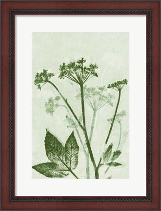 Framed Ground Elder Green Print