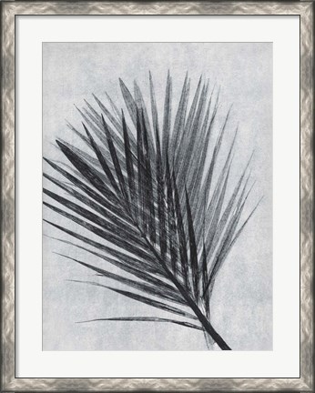 Framed Palm 1 Grey Print